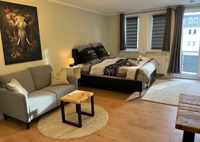 An Der Elbe Mit Balkon, Küche Und Netflix Dresden