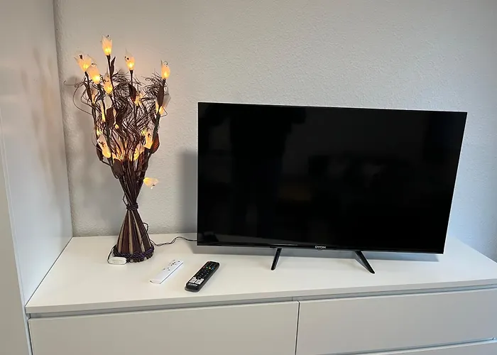 An Der Elbe Mit Balkon, Küche Und Netflix Dresden